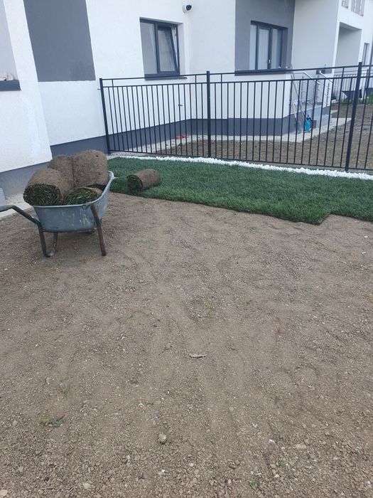 Gazon rulou sport calitate