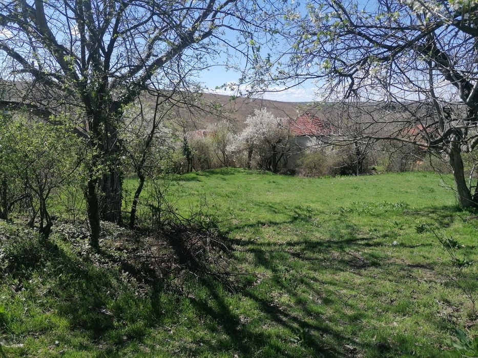 Парцел 1000кв. м. с. Николаево, обл. Плевен