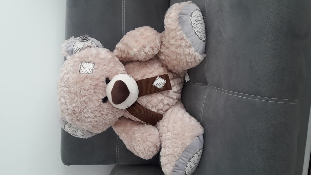 Плюшени мечета