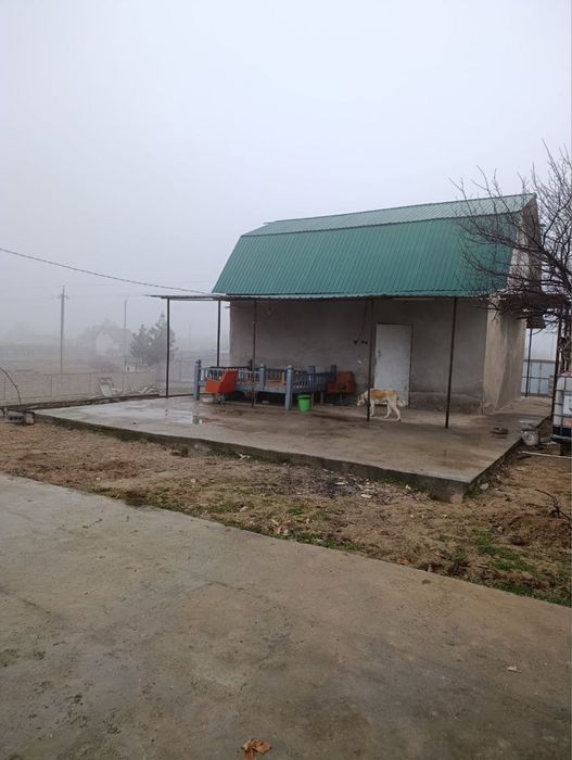 дача в Ташкентской области