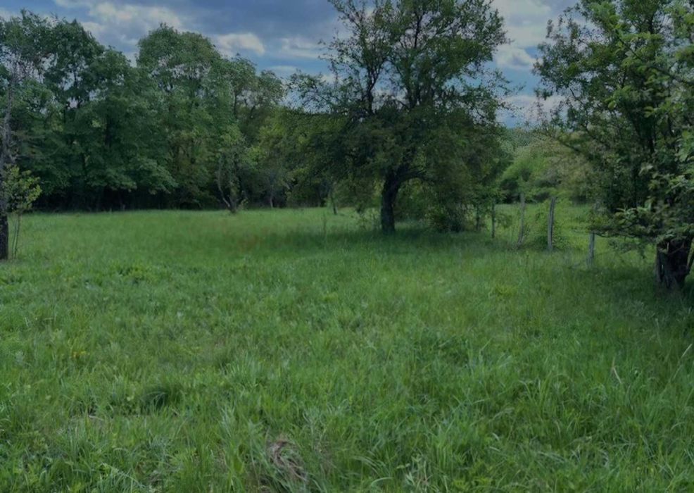 Продава се Парцел в с. Балванците, Област Габрово - 5050 кв.м за 10 €/кв.м - Снимка #2