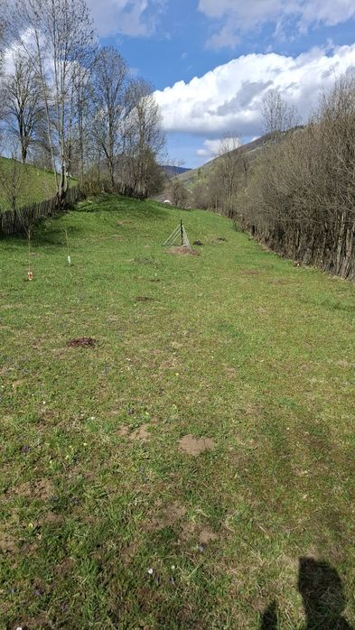 Teren intravilan 2244 m2, in Comuna Valea Doftanei, Sat Tesila