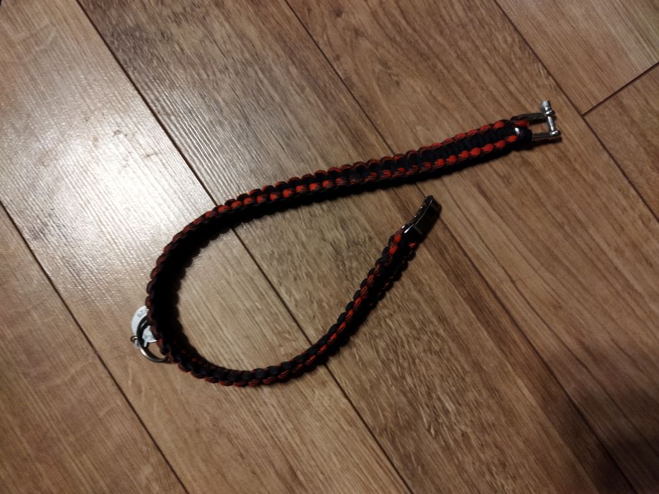 Повод за куче  сигурна разходка в парка и планината