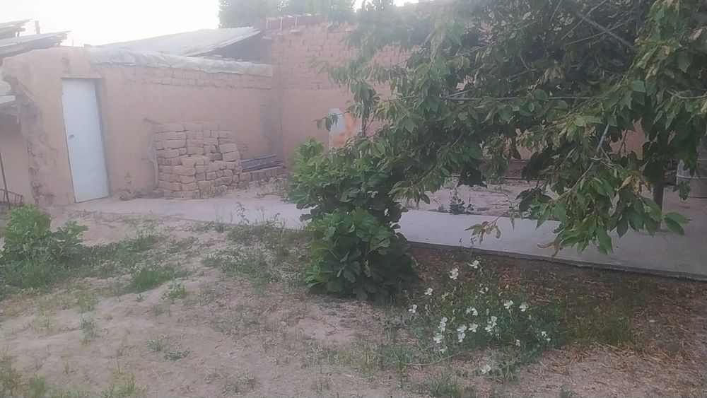 Hovli sotiladi 8 sotix