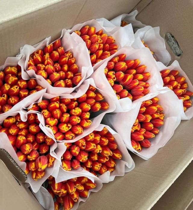 Тюльпаны хрустящие по 700 тг