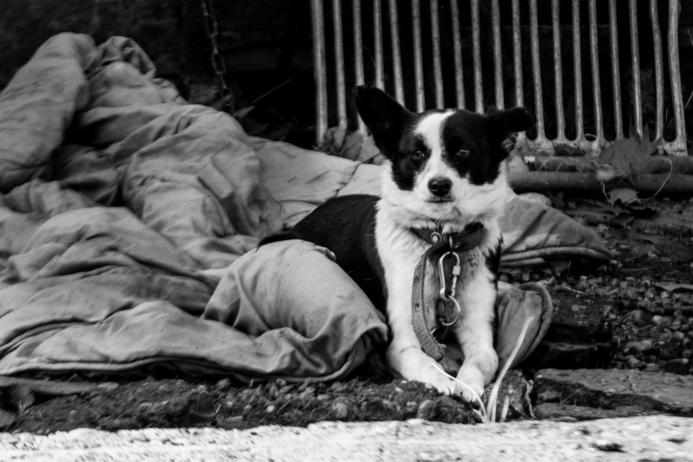 Продается объектив fujinon 50-140мм