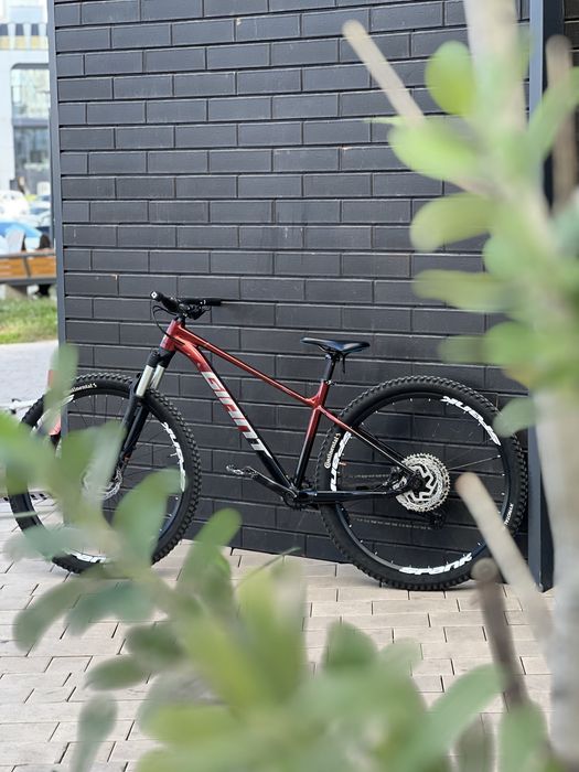 Giant talon 0 2025