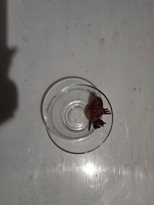 Set 12 farfurioare de sticla