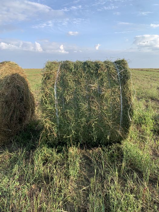 Продам сено рулонное