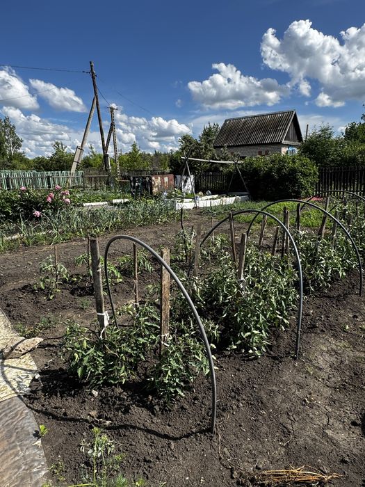Продам ухоженную дачу с/т Ромашка