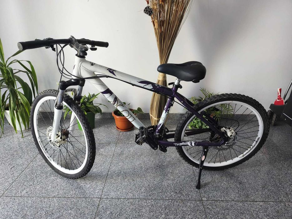 Bicicleta 24 inch