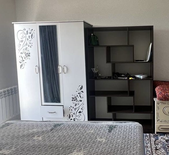 Шкаф и книжная полка