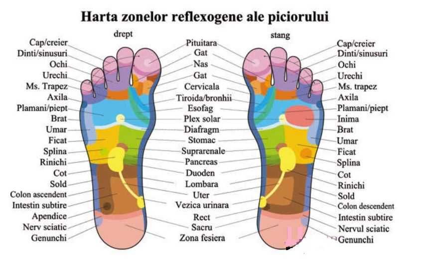 Dispozitiv Original iTeraCare Classic - Prife International