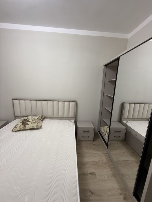 Alfraganus duplex 5х ком.