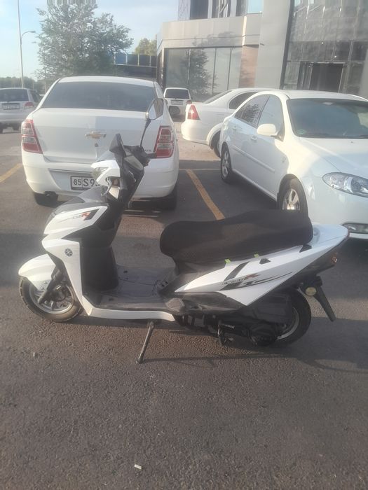 Skutor xolati ideal