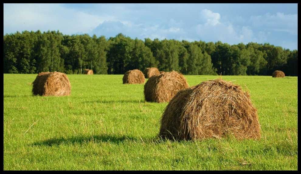 Продам Фотоаппарат Nikon D70 !