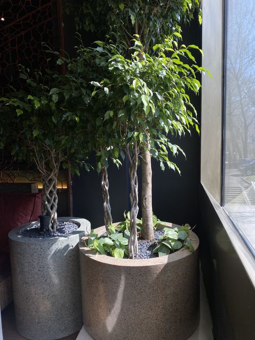 Вазон “Цилиндр D800”