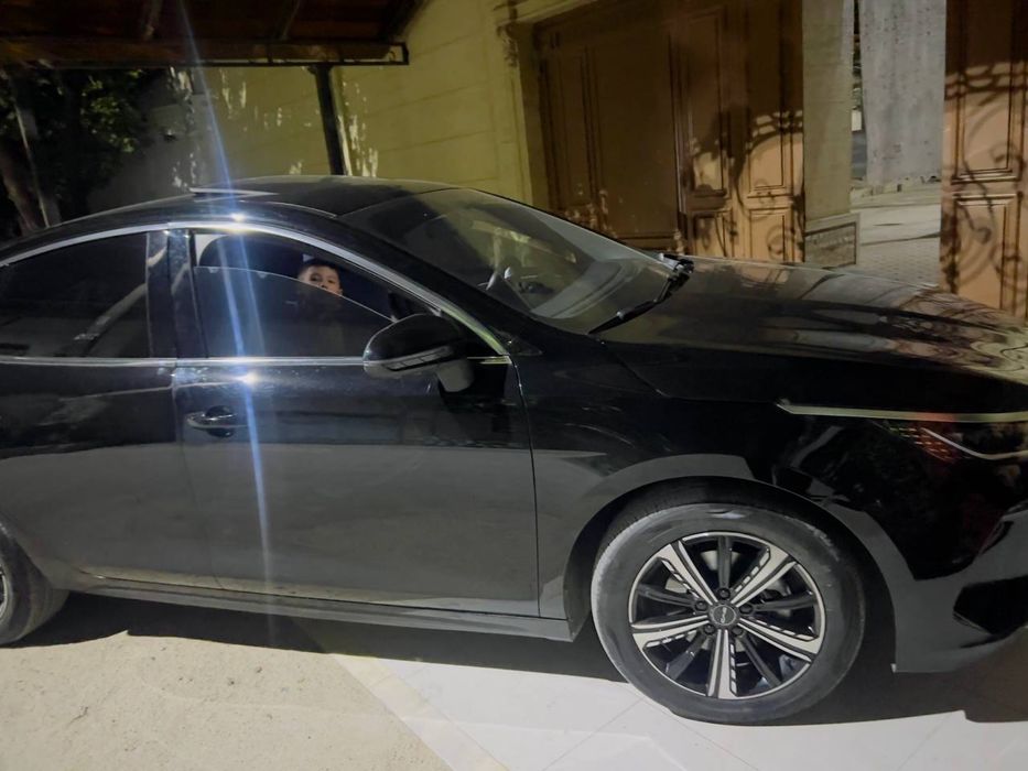 Byd chazor srochna
