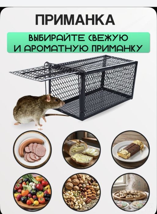 Ловушка для жывотных Qopqon kalamush