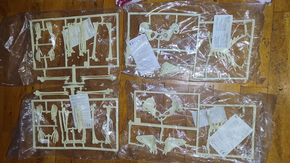 Corpul Omenesc colecție