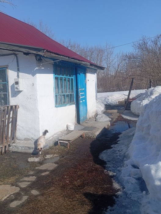 Продам дом срочно