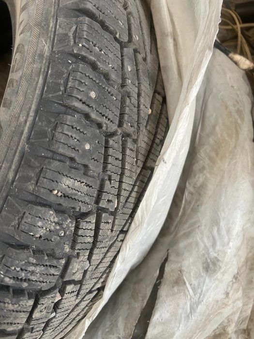 Шипованная (зимняя)