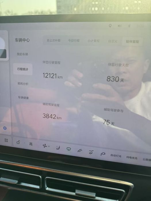 Lixiang L8 pro с расстоможкой