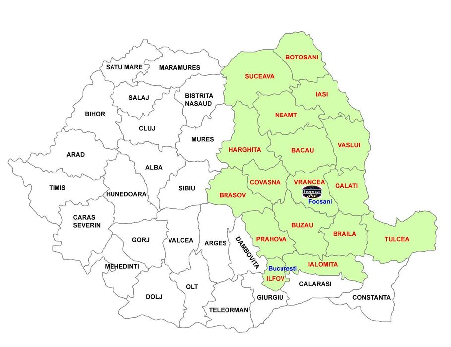 Masina de tocat  industriala kolbe