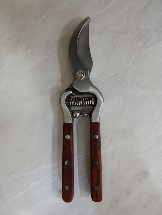 Садовые ножницы ( сикатор )