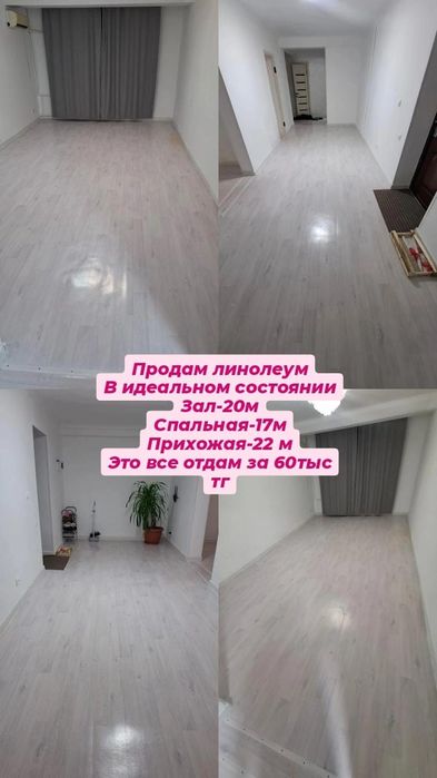 Продажа линелиуим