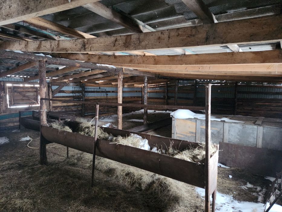 Үй Серафимовка ауылында