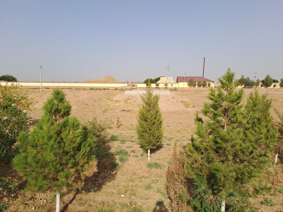 Tadbirkorlik uchun yer