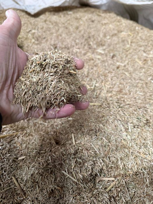 Samanta iarba coasa,pasune ,islaz,terasamente