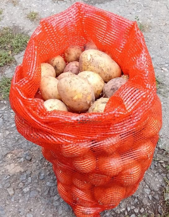 Едовой картофель