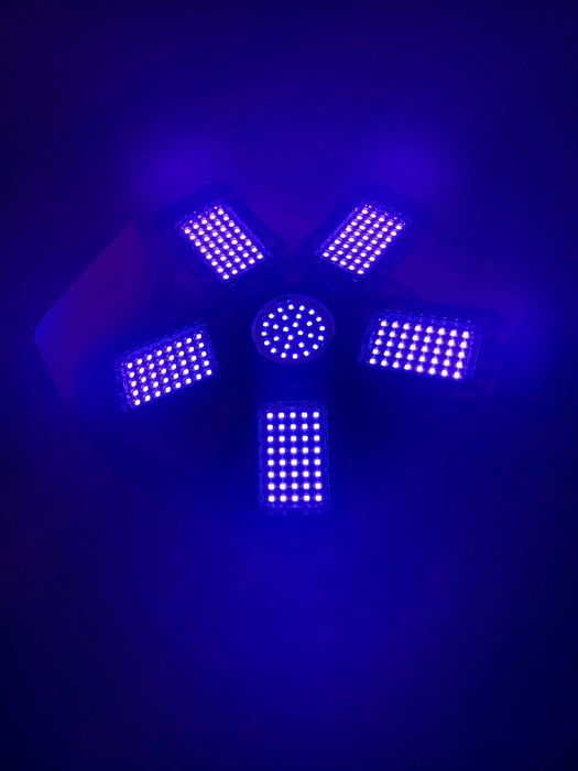 Деформируема лед черна светлина