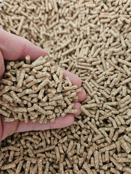 Furaj proteic pentru animale (Porci/Pasari)