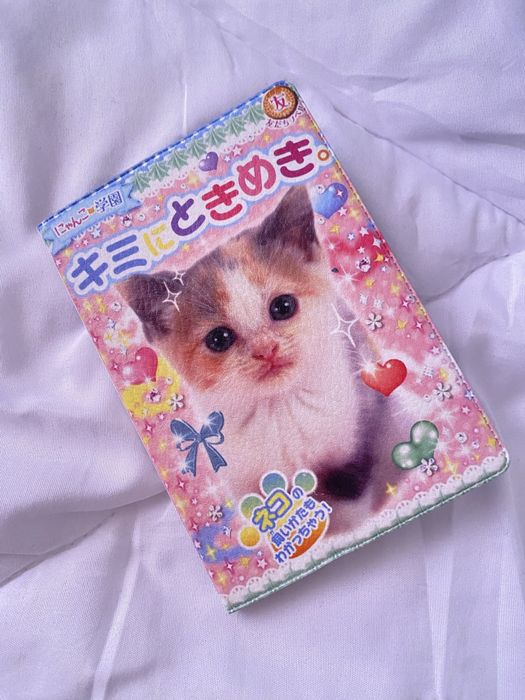 обложка на паспорт