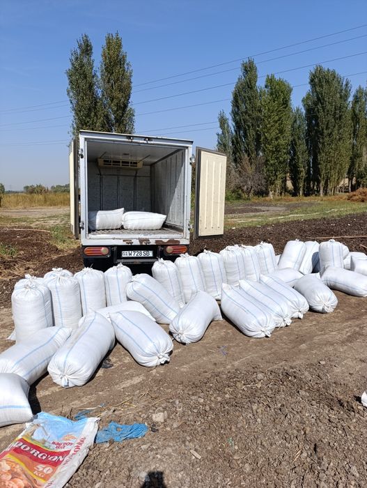 Bio gomus tabiy mahsulot