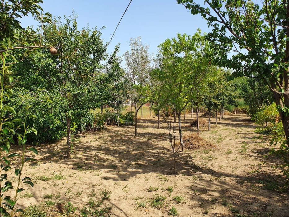 Proprietar vând casa în Lugoj