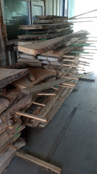 Карагач не обрезеой