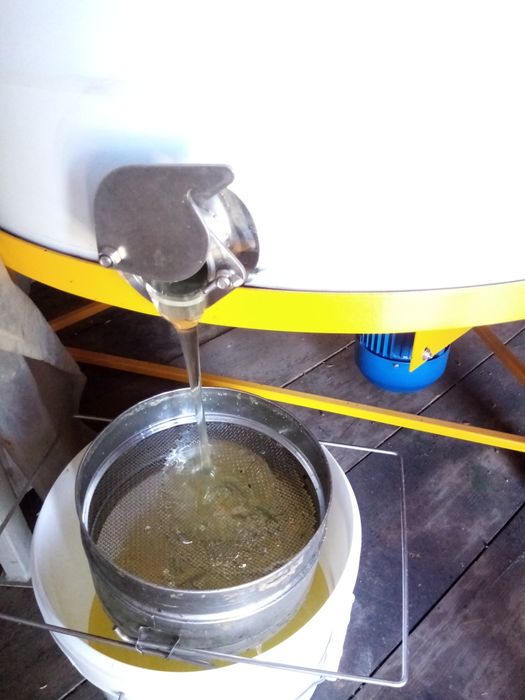 Мед майский 2025г