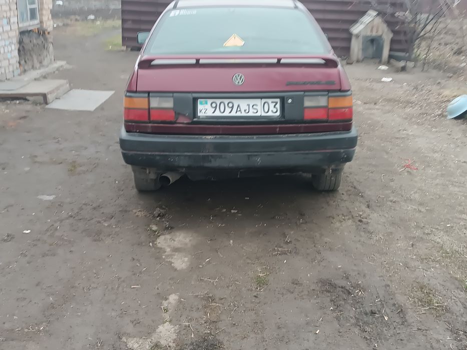 Продам живого пассата без гнили