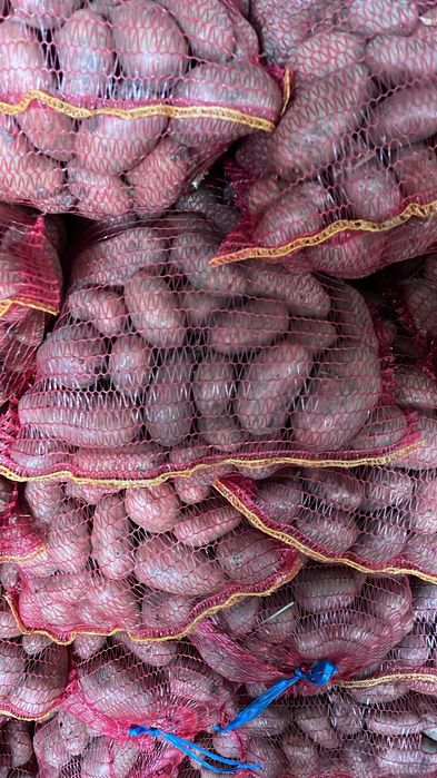 Cartofi consum rosii si albi