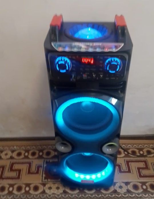 Аренда калонка и микрофон