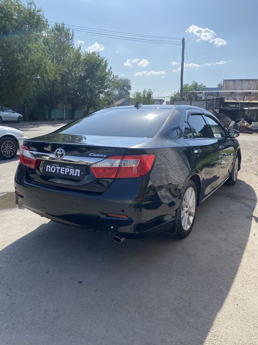 Трезвый водитель