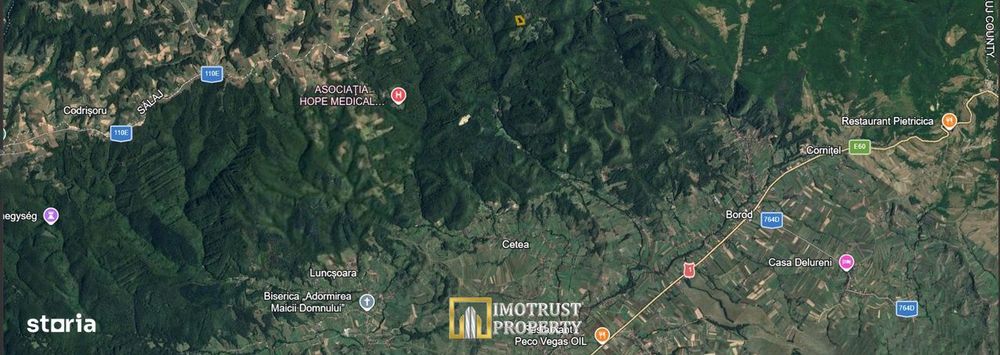 Pădure și pășune de vânzare 8,2037 ha Borod, Bihor