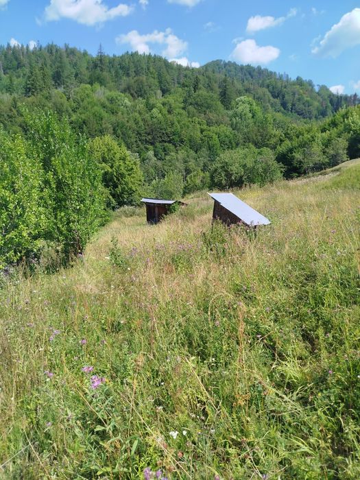 Vand Casa si Teren Sat Vadu Oii, Gura Teghii
