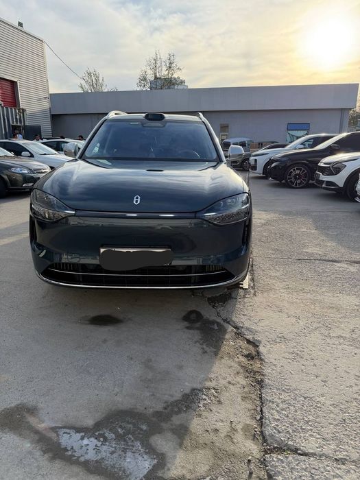 AITO M9 Ultra. Denza N9. Li 9. Dipal s09. O'rniga zo'r varyanat.