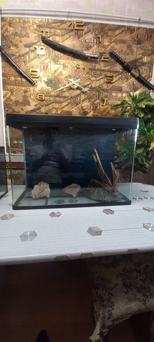 Продам аквариумы