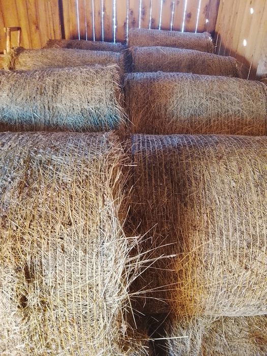 Vând baloții rotunzi de fan calitatea 1